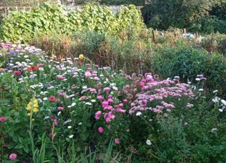 Продаю дом, 60 м2, Каменка, Степной проезд, 30