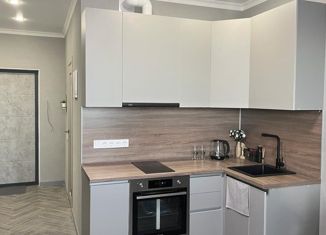 Аренда квартиры студии, 25 м2, Ростов-на-Дону, улица Еляна, 40, ЖК Левенцовка Парк