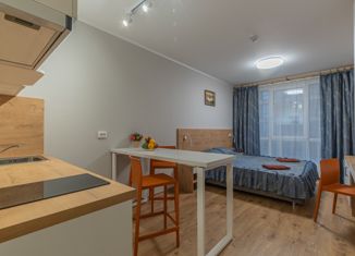 Квартира на продажу студия, 22.1 м2, посёлок Парголово, Толубеевский проезд, 8к2