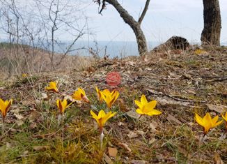 Продаю участок, 9.86 сот., поселок Семидворье, микрорайон Александрийская дача, 6А