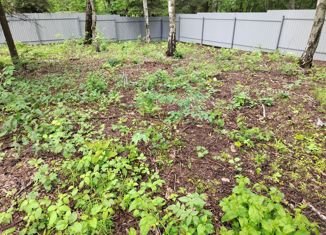 Продажа участка, 6 сот., деревня Ерёмино