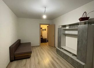 Однокомнатная квартира в аренду, 36 м2, деревня Хохряки, Муромская улица, 3