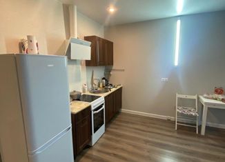 Продаю 1-ком. квартиру, 44.6 м2, деревня Ивановское, улица Николинские Ключи, 49