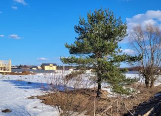 Продам земельный участок, 10 сот., деревня Колесниково