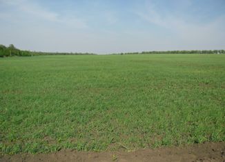 Продается участок, 10 сот., село Чёрная, Совхозная улица, 29А