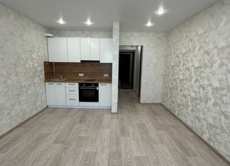 Продаю квартиру студию, 25 м2, село Чигири, Европейская улица, 7