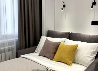 Продаю квартиру студию, 25 м2, посёлок Новая Адыгея, Бжегокайская улица, 19к1