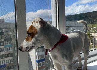 Продается 3-комнатная квартира, 56 м2, Усть-Кут, улица Реброва-Денисова, 19