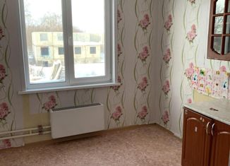 Продам однокомнатную квартиру, 25.1 м2, Мариинск, улица Сергея Лазо, 39Б