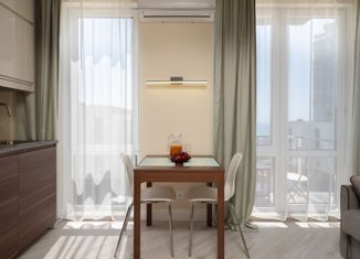 Аренда квартиры студии, 30 м2, Сочи, улица Ленина, 298В/8, ЖК Касабланка