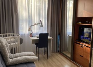 Продается однокомнатная квартира, 29.2 м2, Санкт-Петербург, проспект Художников, 27к1, метро Проспект Просвещения