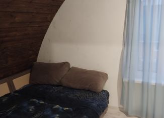 Продажа дома, 48 м2, садовое товарищество Селенское, Лесная улица, 103