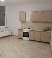 Сдаю 1-комнатную квартиру, 51 м2, Екатеринбург, улица Чкалова, 231