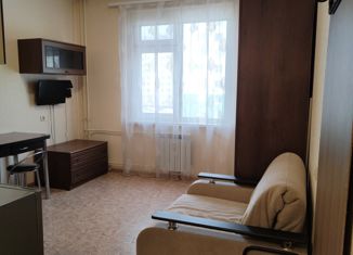 Продажа квартиры студии, 17.2 м2, Нижний Новгород, Бурнаковская улица, 59, Бурнаковская улица