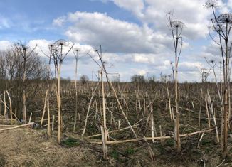 Продаю участок, 30 сот., село Морозово, село Морозово, 35