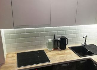 Продам двухкомнатную квартиру, 47.9 м2, Новосибирск, Дачная улица, 34, Дачная улица