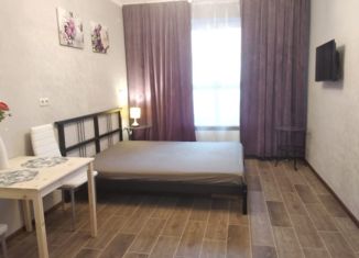 Продажа квартиры студии, 22 м2, деревня Путилково, Сходненская улица, 13