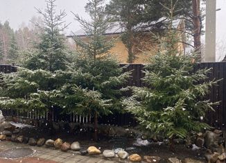 Продается дом, 186 м2, ДНТ Сосновый, Сосновая улица, 2