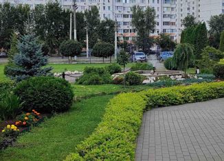 Продается 2-комнатная квартира, 52 м2, Воронеж, Новосибирская улица, 29, Левобережный район