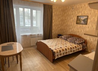 Сдам в аренду квартиру студию, 20 м2, рабочий посёлок Шексна, улица Труда, 35А