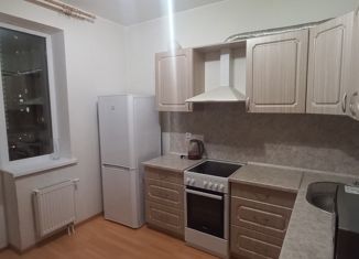 1-комнатная квартира в аренду, 39 м2, Екатеринбург, улица Степана Разина, 107Ак1, Чкаловский район