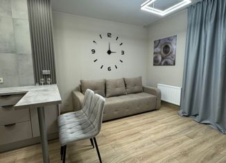 Продаю квартиру студию, 26.3 м2, Ростов-на-Дону, Раздорская улица, 2А, ЖК Грин Парк