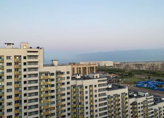 Продается однокомнатная квартира, 35 м2, Санкт-Петербург, Среднерогатская улица, 13к1, ЖК Триумф Парк