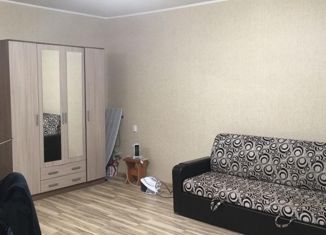 Продажа квартиры студии, 38.6 м2, село Тополево, Зелёная улица, 40