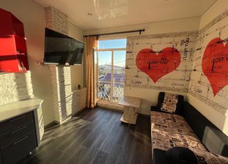 Продам квартиру студию, 20.5 м2, село Высокое, Ивановская улица, 4А