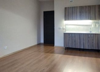 Продажа квартиры студии, 25.5 м2, Мурино, Воронцовский бульвар, 10, ЖК Гринландия