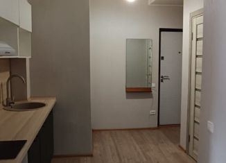 Продается квартира студия, 29.2 м2, Екатеринбург, Нагорная улица, 14, Нагорная улица