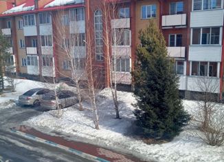 2-ком. квартира на продажу, 47.9 м2, Новосибирская область, Большая улица, 25