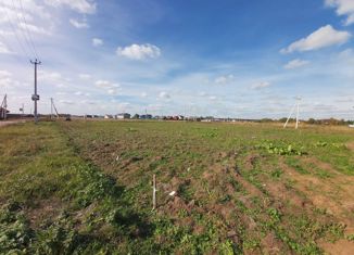 Продается земельный участок, 8 сот., деревня Цибино