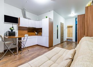 Продаю квартиру студию, 23.4 м2, Екатеринбург, улица Малышева, 42А, улица Малышева