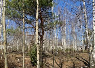 Участок на продажу, 10 сот., село Дубровичи