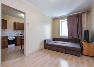 Продаю 1-ком. квартиру, 42.3 м2, Новосибирск, улица Татьяны Снежиной, 25/4, Октябрьский район