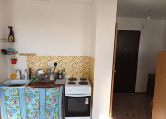 Продается квартира студия, 26.1 м2, Кохма, улица Романа Куклева, 28
