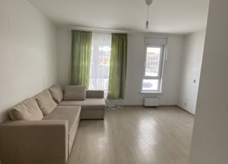 1-комнатная квартира на продажу, 25 м2, посёлок Мичуринский