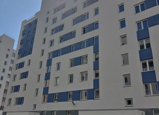 Продажа 1-комнатной квартиры, 31.2 м2, посёлок Шушары, Московское шоссе, 256к3, ЖК Вариант