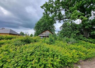 Продаю земельный участок, 20 сот., деревня Фалилеево