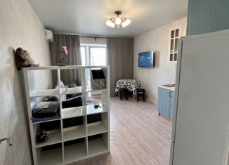 Продается квартира студия, 27 м2, Краснодар, улица Героя А.А. Аверкиева, 15, улица Героя А.А. Аверкиева