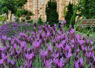 Продам 2-комнатную квартиру, 67 м2, Краснодар, Командорская улица, 3к1, ЖК Видный