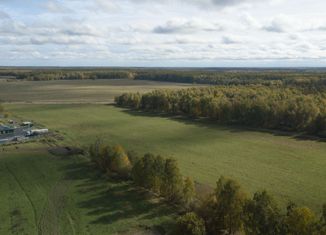 Продам земельный участок, 1200 сот., деревня Овечкино