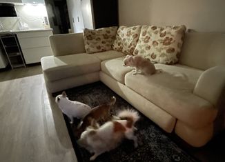 Продам 1-ком. квартиру, 25 м2, Москва, Подъёмная улица, 14с37, Подъёмная улица