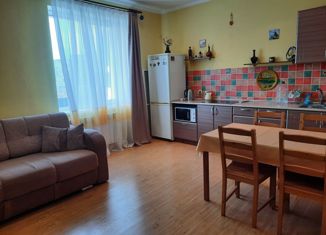 Продаю двухкомнатную квартиру, 46.8 м2, деревня Якты-Куль, Курортная улица, 85к2