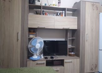 Продажа однокомнатной квартиры, 16.6 м2, Артём, улица Кирова, 152