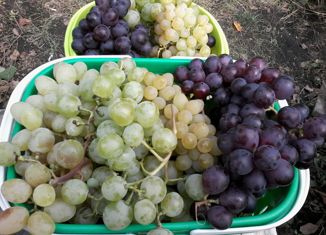 Продажа дома, 44 м2, СНТ Лада, 6-я Яблоневая улица, 27