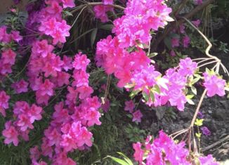 Дом на продажу, 60 м2, село Галицыно, Батайская улица, 12