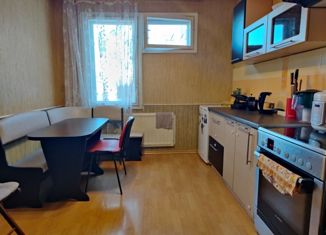 1-ком. квартира на продажу, 43.2 м2, Санкт-Петербург, Турбинная улица, 35к1, Турбинная улица