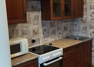 Сдается в аренду однокомнатная квартира, 36 м2, посёлок Металлострой, Полевая улица, 1/25